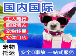 阿拉善国际宠物托运 【国